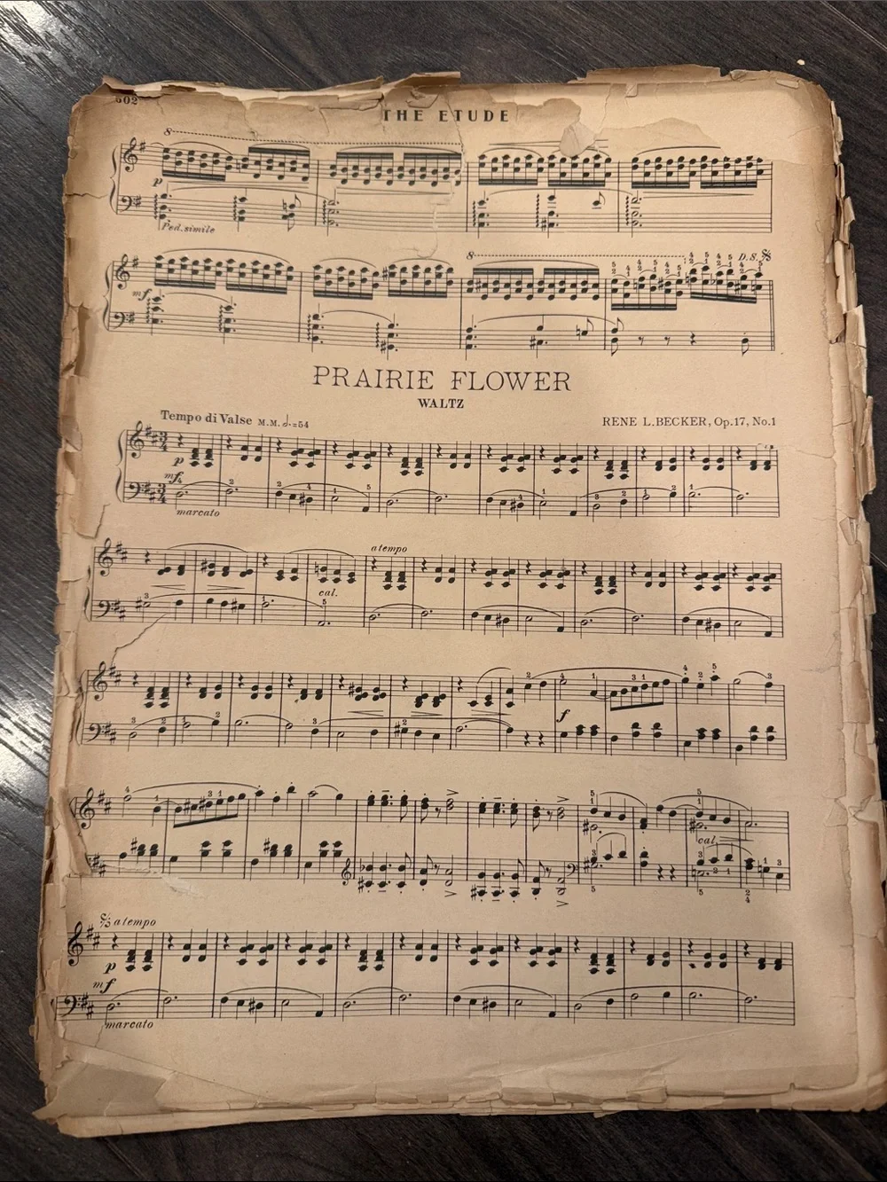 Vintage Sheet Music Wall Art - Cream Music Score
